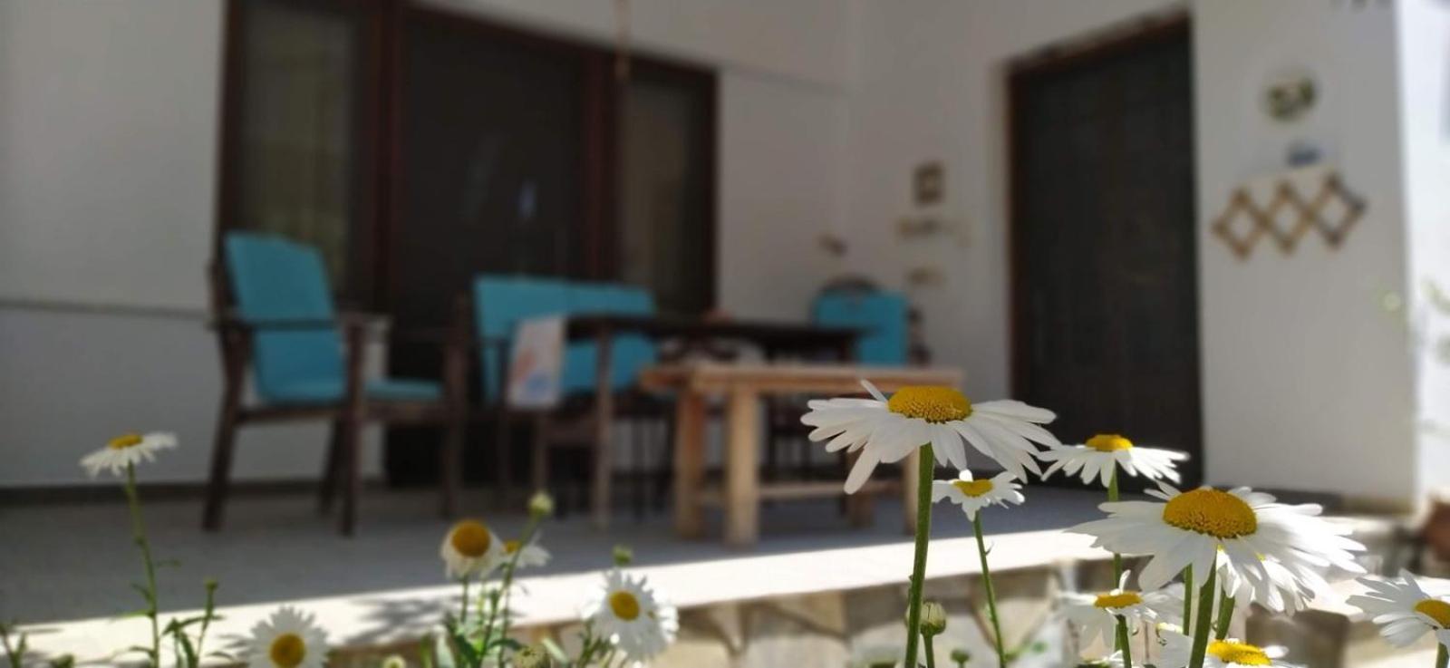 Holiday home Sunny Days House
