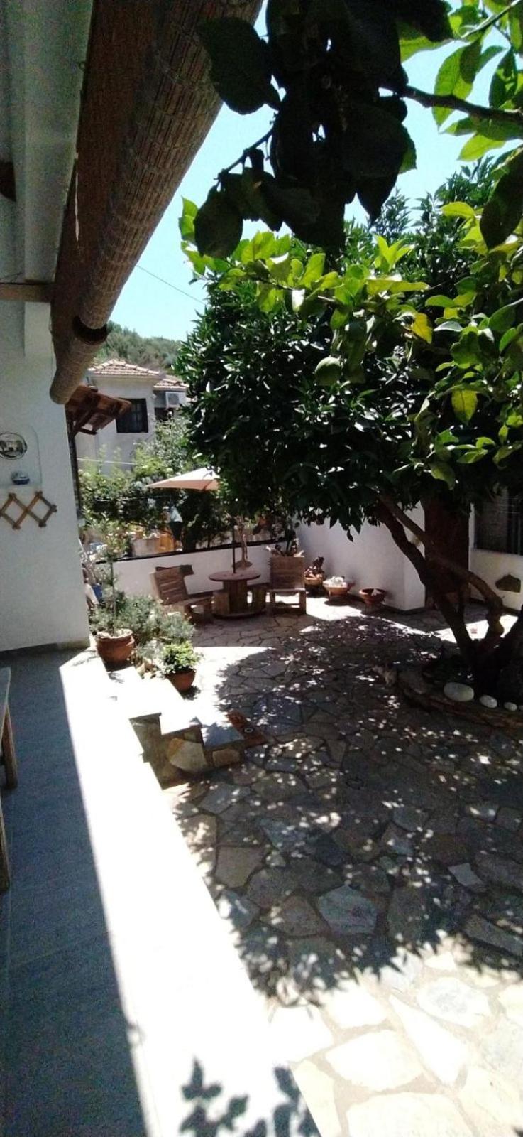 Sunny Days House *