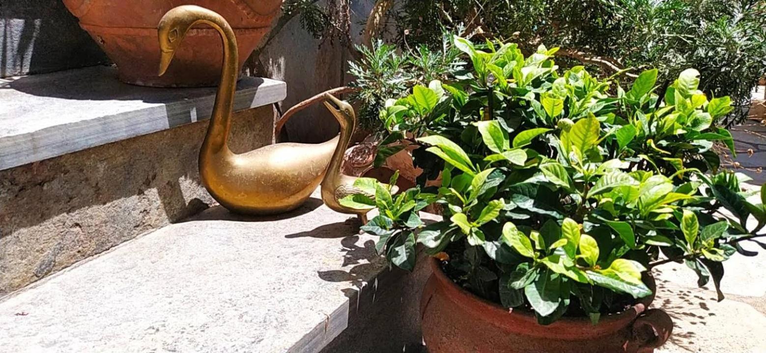 Sunny Days House Agia Kiriaki (Magnesia)