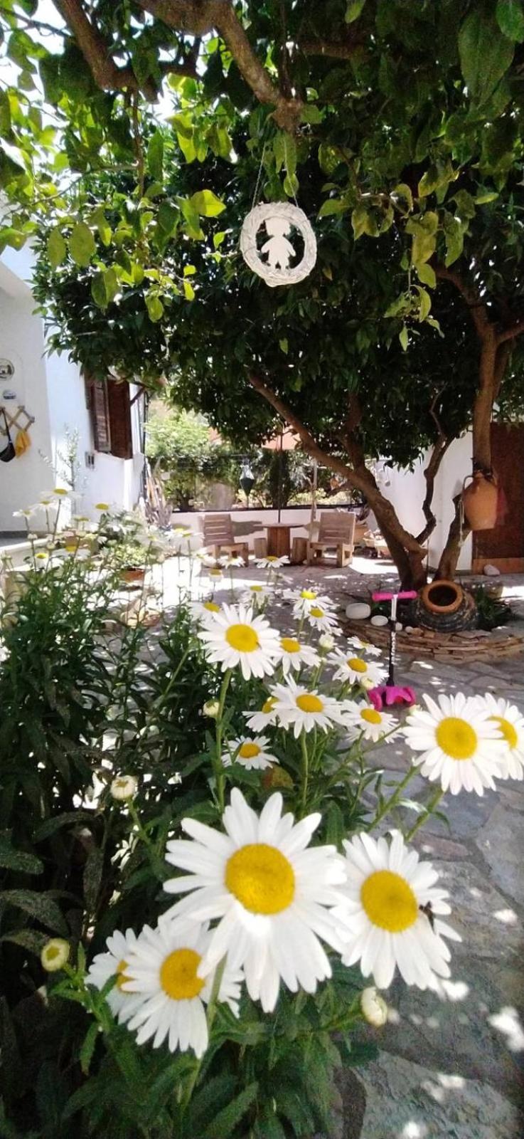 Sunny Days House Holiday home Agia Kiriaki (Magnesia)